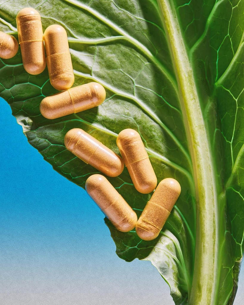 therootbrands-root-wellness-zero-in-by-d-6.jpg