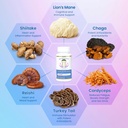 encapsulate-6-mushroom-blend-reishi-chag-2.jpg