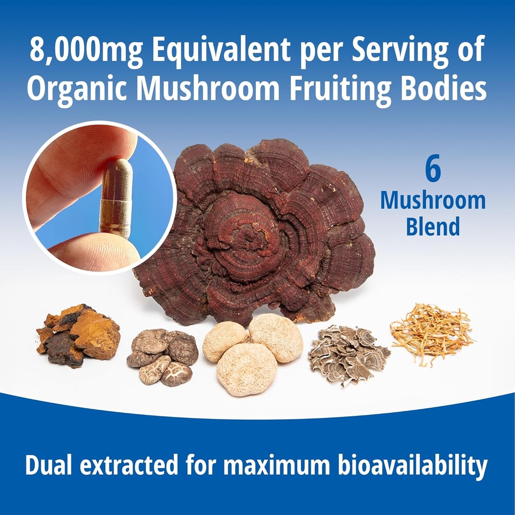 encapsulate-6-mushroom-blend-reishi-chag-6.jpg