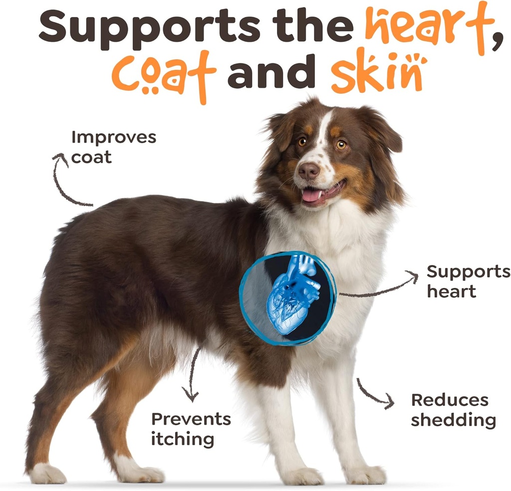 omega-3-for-dogs---omega-3-fish-oil-for--3.jpg