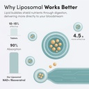 vida-lifescience-liposomal-nad-liquid-su-3.jpg