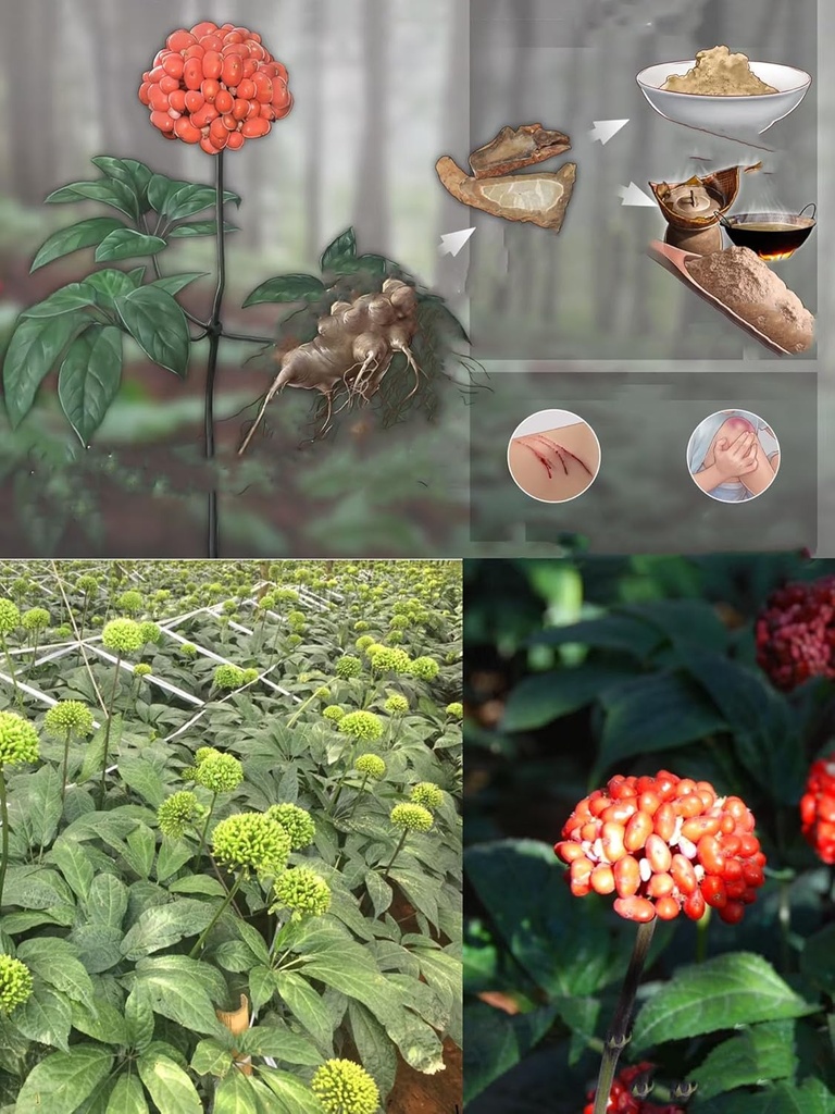 100-superfine-pure-natural-yunnan-wensha-4.jpg