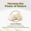 go-nutra---lions-mane-powder-potent-101--3.jpg