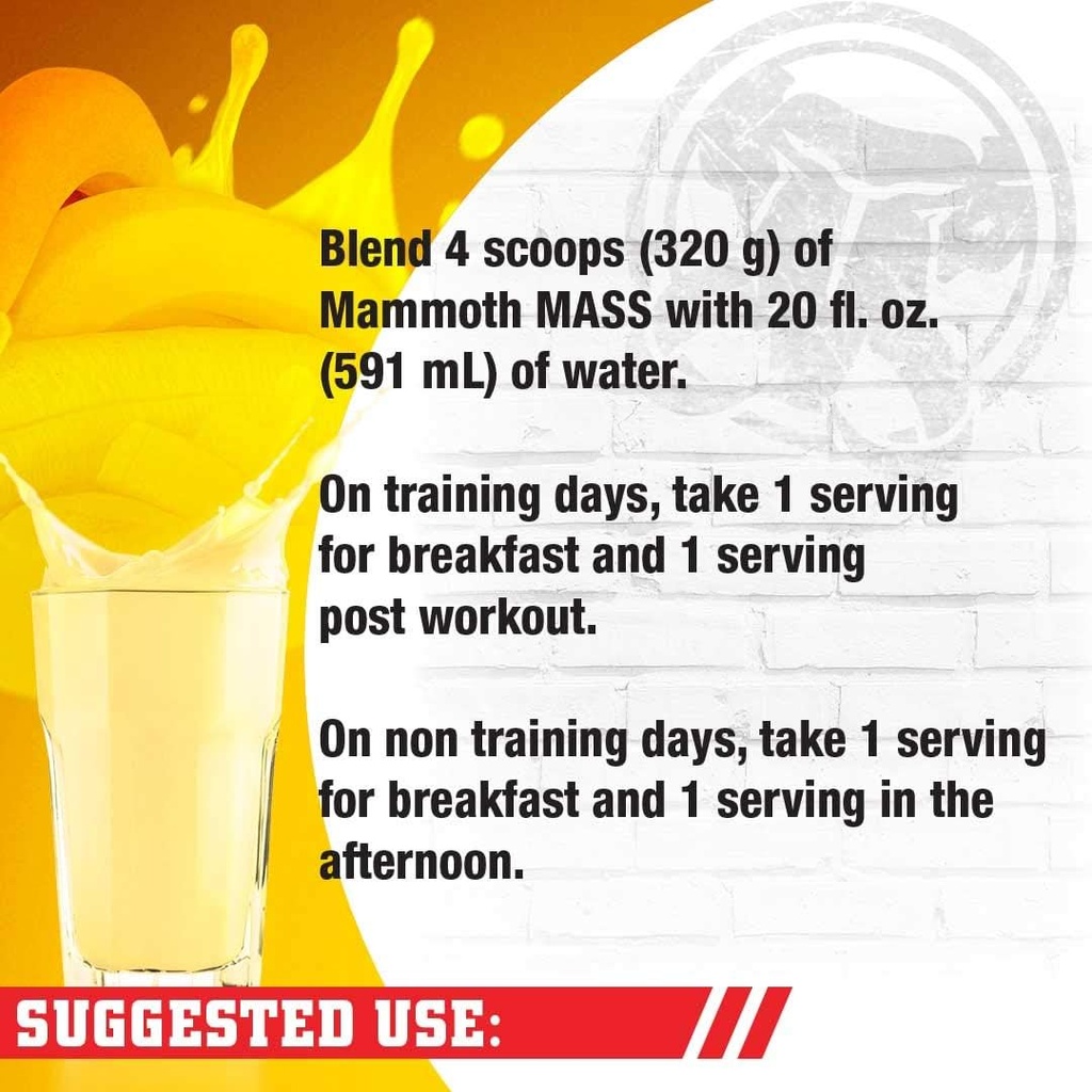 interactive-nutrition-mammoth-mass-suppl-4.jpg