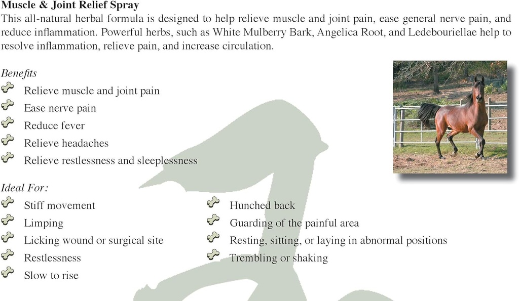 jadience-dog-cat-horse-sore-muscle-pain--5.jpg