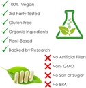 rejuvenation-therapeutics-pure-organic-g-3.jpg
