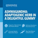 ashwagandha-gummies-supplement-designed--3.jpg