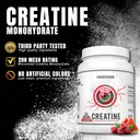 ekkovision-creatine-monohydrate-powder-m-2.jpg