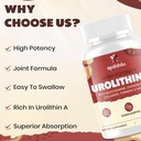 marafiki-urolithin-a-supplement-5.jpg