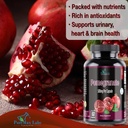 pomegranate-capsules---500mg-antioxidant-3.jpg