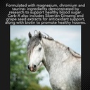med-vet-pharmaceuticals-carb-x-10lb-gluc-3.jpg