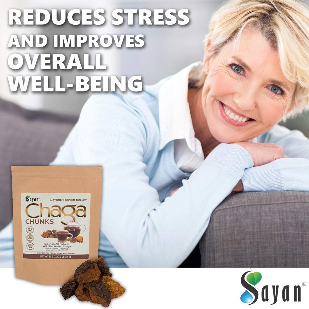 sayan-siberian-pure-raw-chaga-mushroom-c-6.jpg