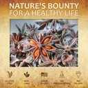 herbalicious-star-anise-dietary-suppleme-4.jpg