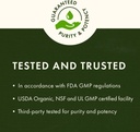 swanson-premium-brand-american-ginseng-5-2.jpg