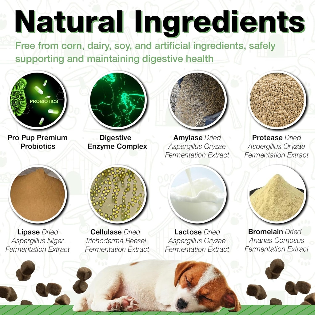 probiotics-for-dogs---diarrhea-relief-gu-4.jpg