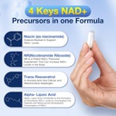 nad-supplement-1000mg-niacinvitamin-b3-5-3.jpg