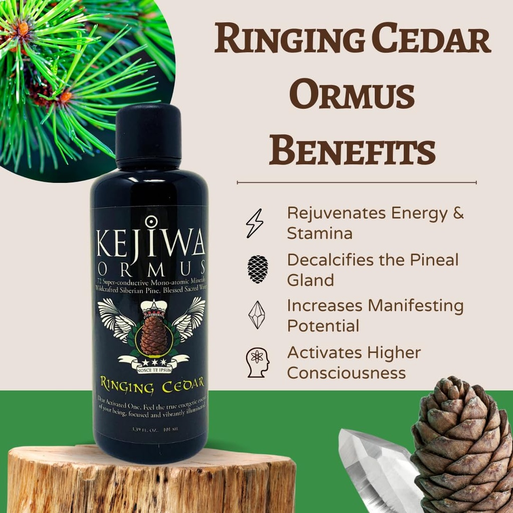 kejiwa-ringing-cedar-ormus-siberian-pine-2.jpg