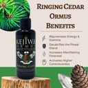 kejiwa-ringing-cedar-ormus-siberian-pine-2.jpg