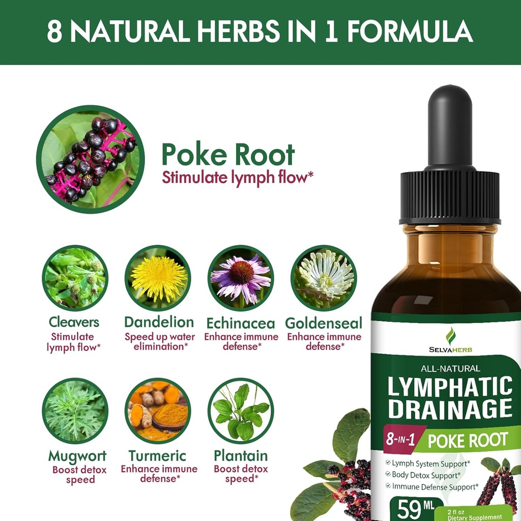 lymphatic-drainage-drops-for-lymph-syste-4.jpg