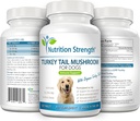 turkey-tail-mushroom-for-dogs-to-support-4.jpg