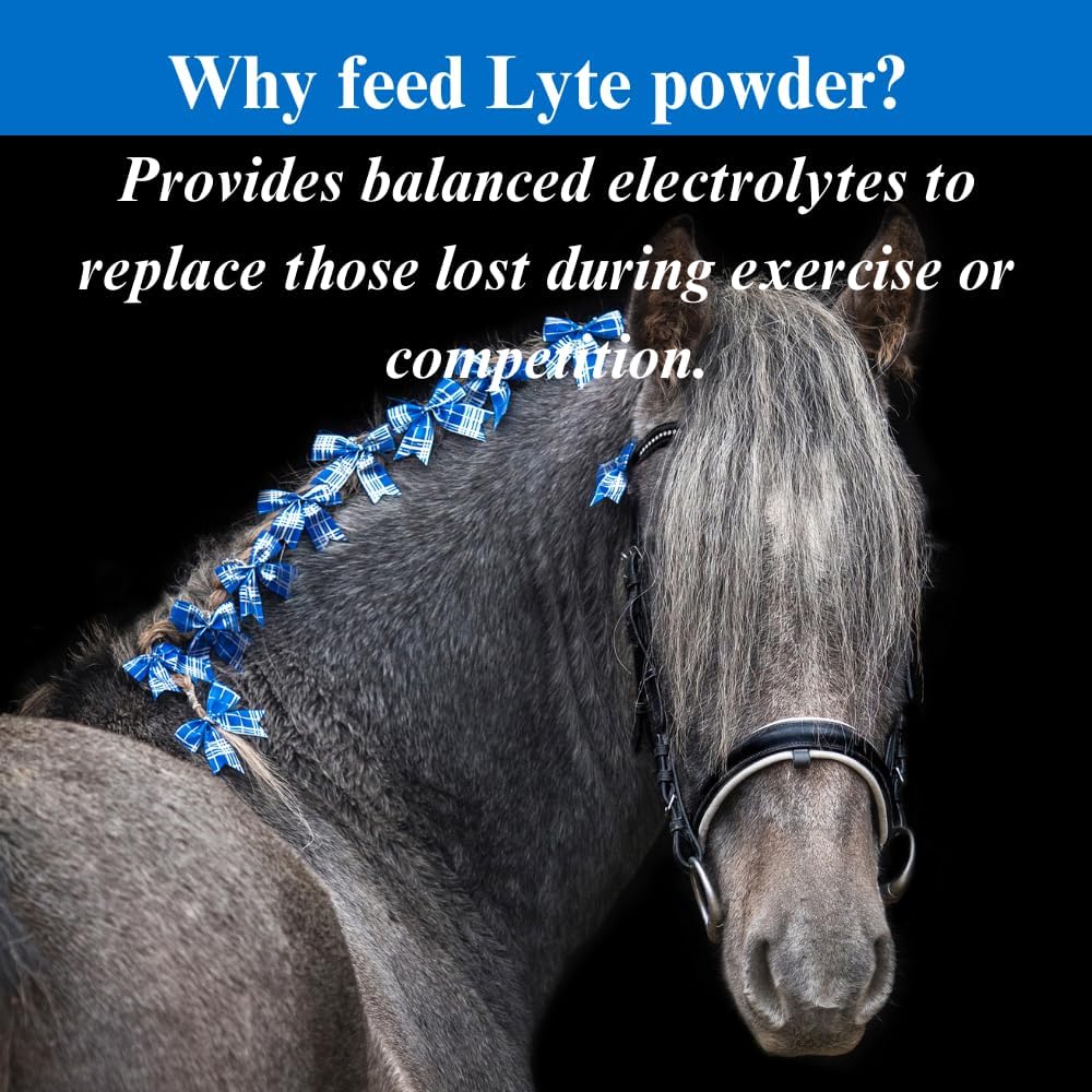 su-per-lyte-horse-electrolyte-supplement-4.jpg