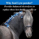su-per-lyte-horse-electrolyte-supplement-4.jpg