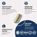 stemxrTM-stem-cell-activator-circulation-3.jpg