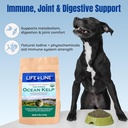 life-line-organic-ocean-canister-kelp-fo-4.jpg
