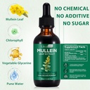 mullein-leaf-extract-for-lungs-mullein-d-3.jpg