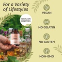 herbamama-chicory-root-fiber-capsules----5.jpg