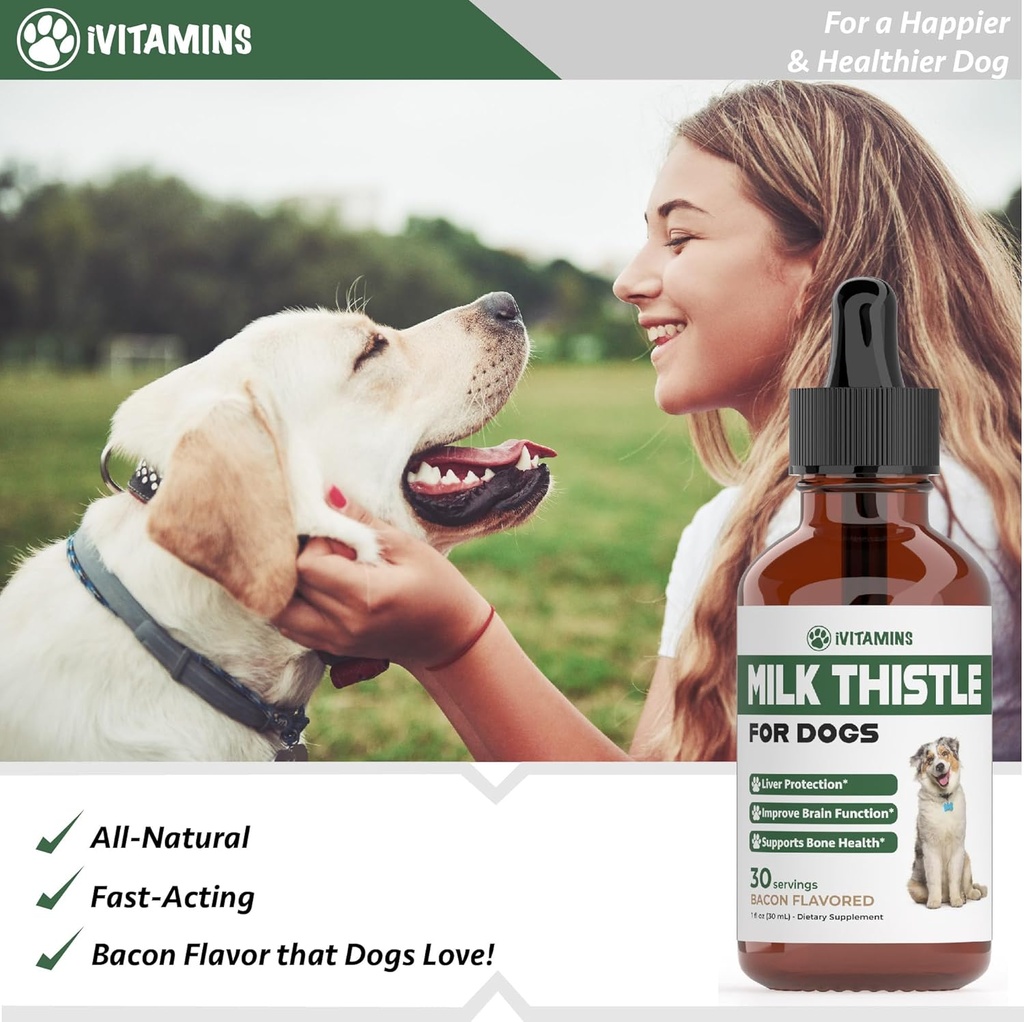 milk-thistle-for-dogs-supports-liver-and-5.jpg