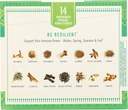 herbal-zap-instantly-dissolving-ayurveda-2.jpg