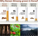 korean-red-ginseng-capsules-natural-ener-6.jpg