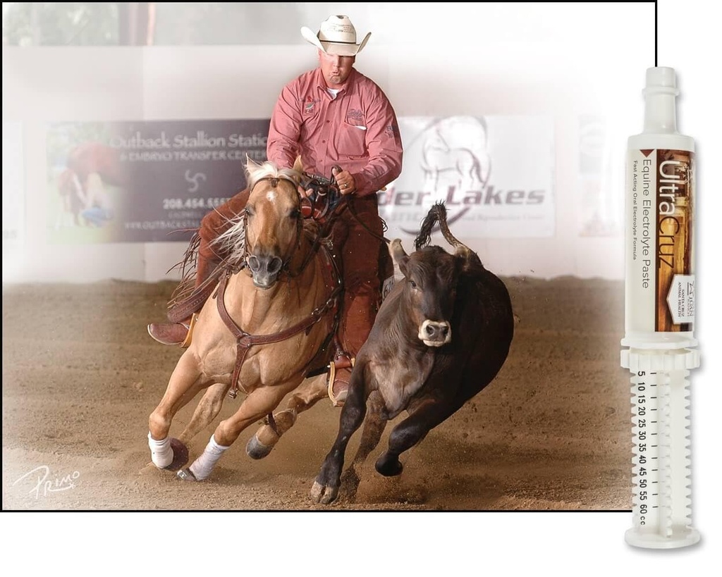 ultracruz-sc-516041-equine-electrolyte-s-2.jpg