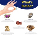 petheal-immune-guard---advanced-support--3.jpg