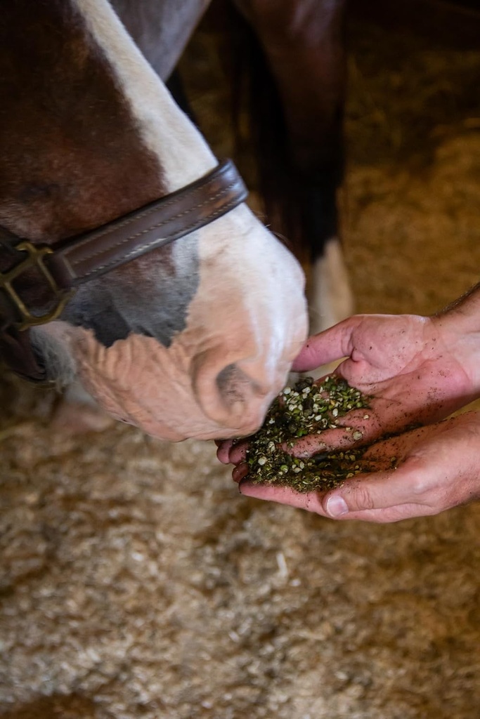 new-country-organics-low-starch-horse-fe-2.jpg