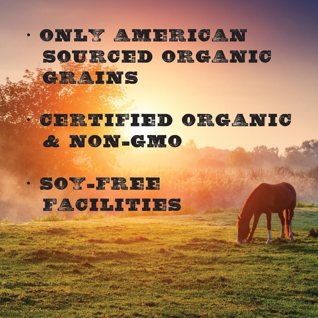 new-country-organics-low-starch-horse-fe-3.jpg