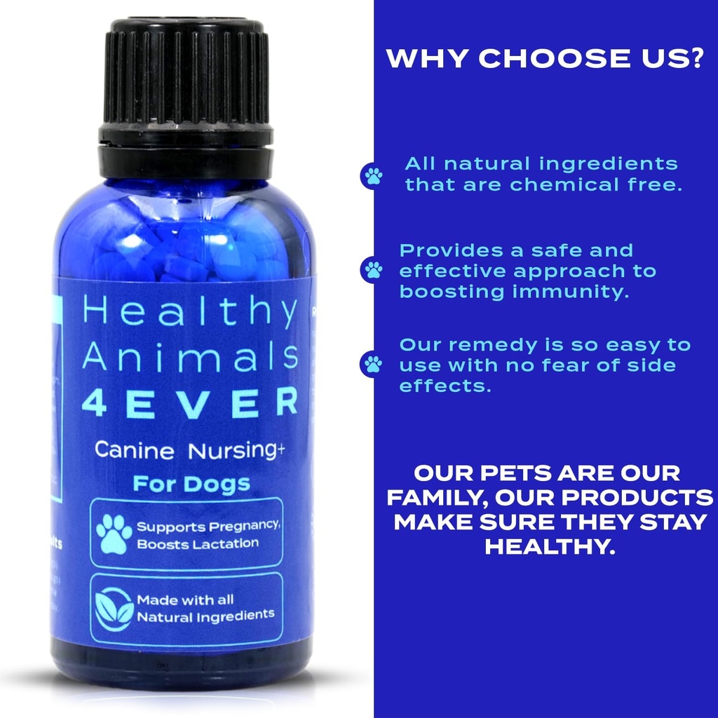 ha4e---canine-pregnancy-nursing-support--5.jpg
