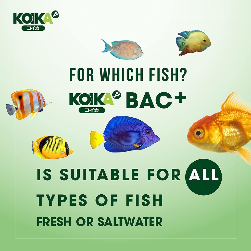 koika-bac-aquarium-probiotics-immunity-b-4.jpg