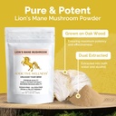 addictive-wellness-lions-mane-supplement-3.jpg
