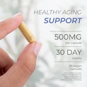 neurogan-fisetin-supplement-500mg---30-c-3.jpg