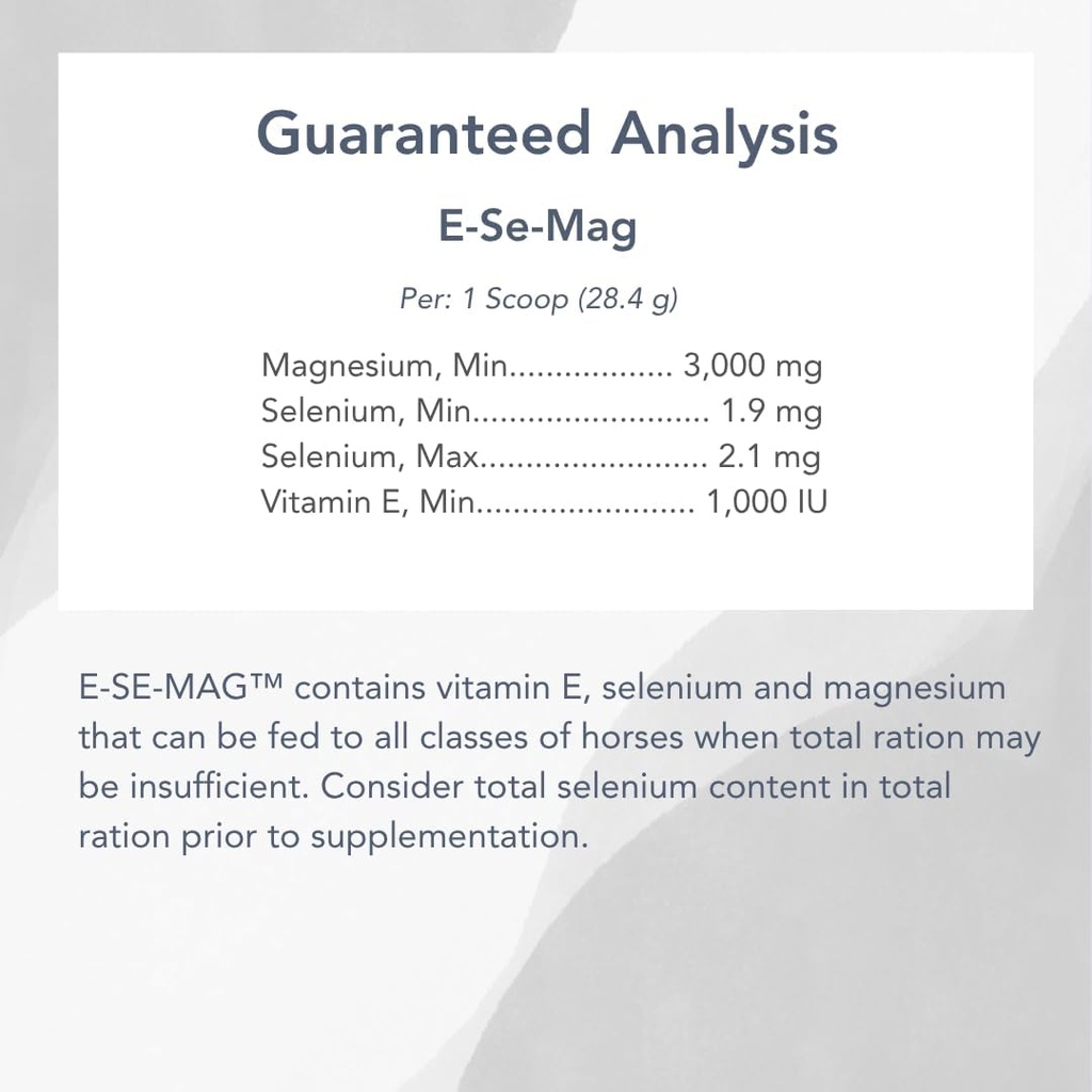 e-se-mag-20lb-for-muscle-function-recove-2.jpg