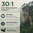 jungle-powders-black-ant-extract-powder--4.jpg