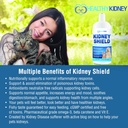 kidney-restore-and-kidney-shield-for-cat-3.jpg