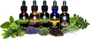cedar-bear-kidney-kool-for-kids---liquid-3.jpg