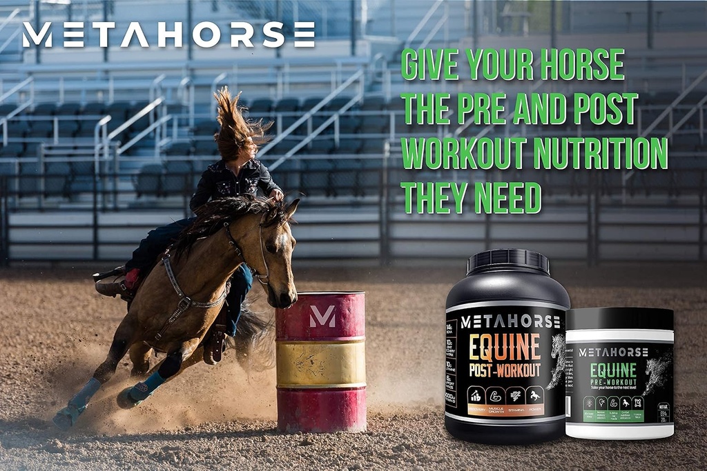 equine-pre-workout-calming-horse-vitamin-6.jpg