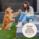 rocco-roxie-dog-urine-neutralizer-for-la-3.jpg