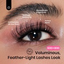 beetles-lash-clusters-kit-love-expressin-4.jpg