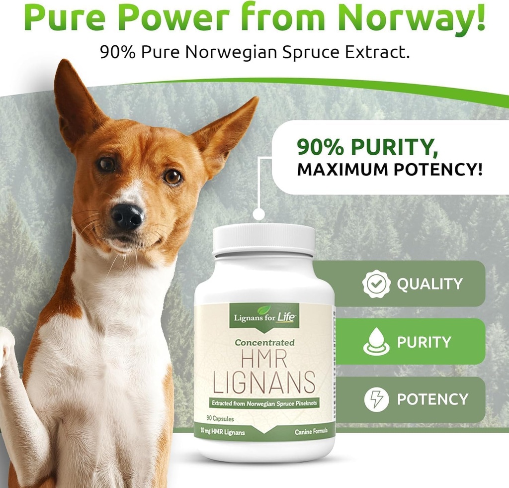 lignans-for-life-care-set-bundle---natur-4.jpg