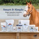 smart-simple-raspberry-leaf-horse-moody--5.jpg